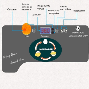 Инкубатор HHD 12 мини автоматический для яиц с овоскопом